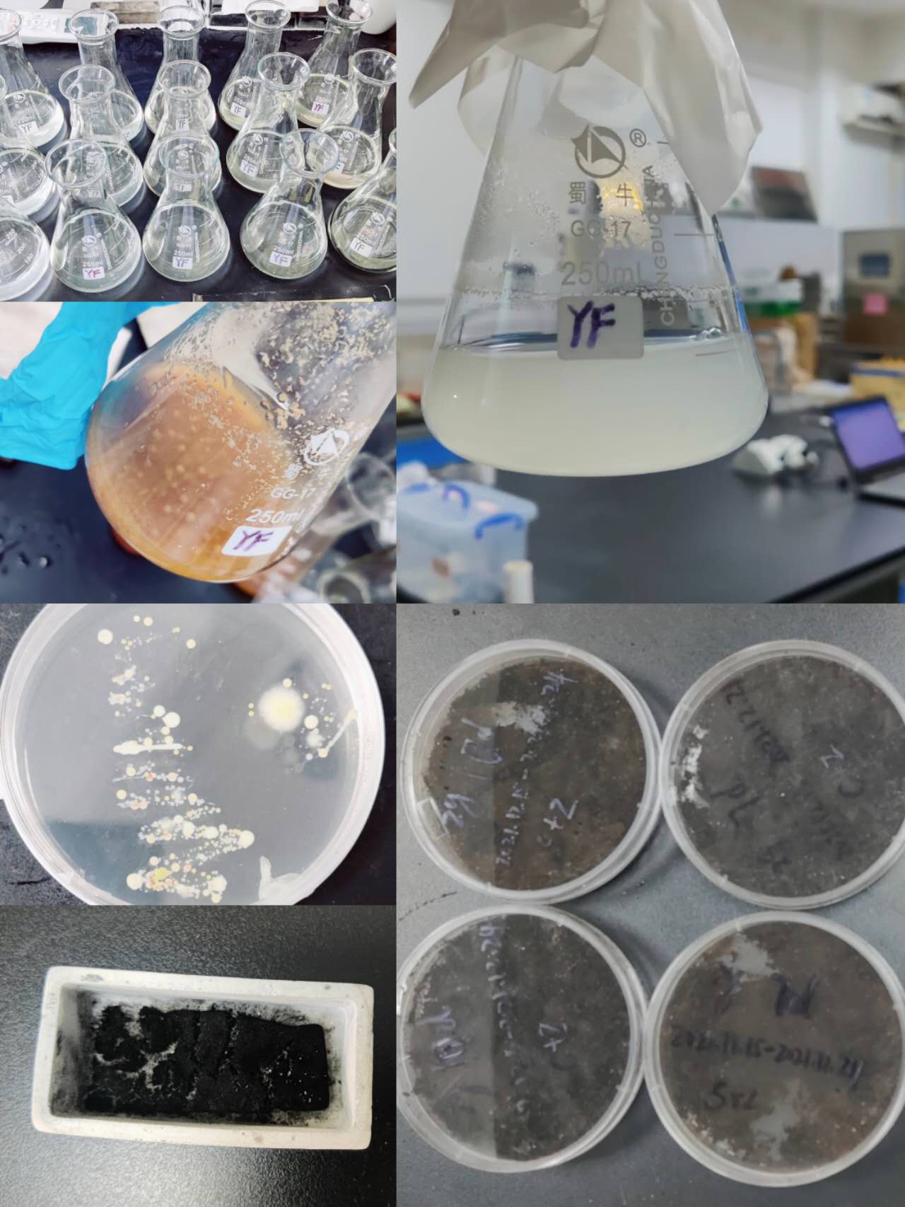 Microbial nitrogen doping for VOC adsorption